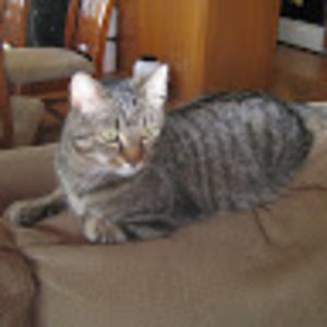 Meet your Posher, Aubrey